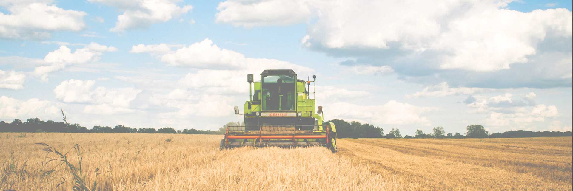 harvester harvesting wheat