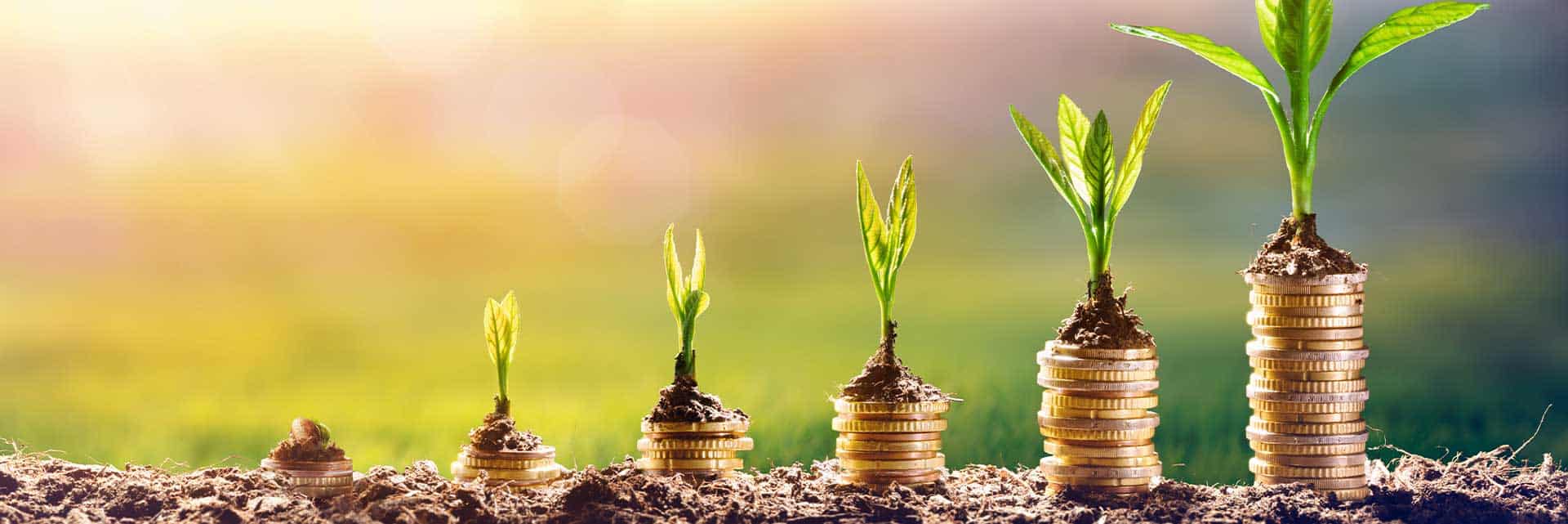 plants growing from tops of coin stacks