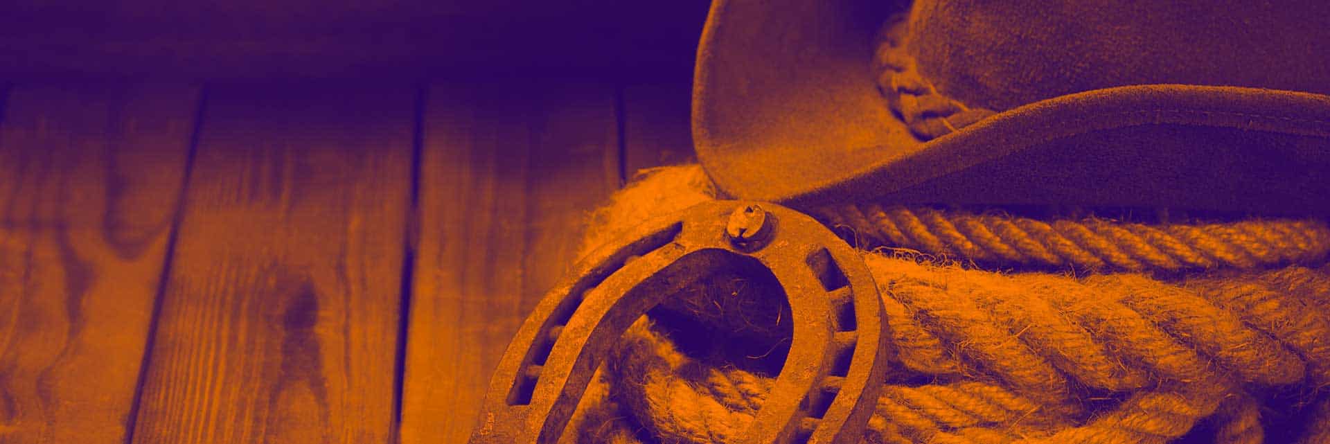 horseshoe, rope, and cowboy hat