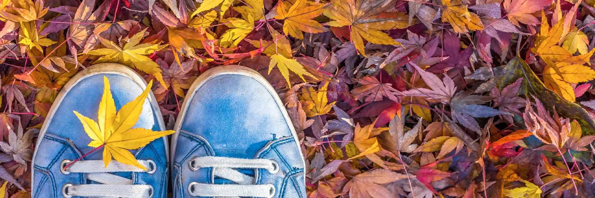 shoes in fall leaves
